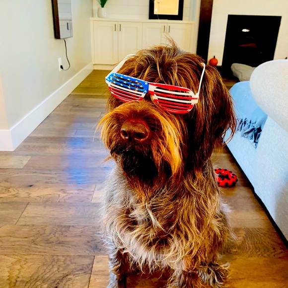 Meet your Posher - Picture 2 of 4